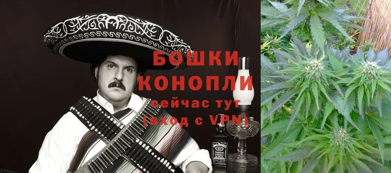 Бошки Шишки SATIVA & INDICA  Инта 