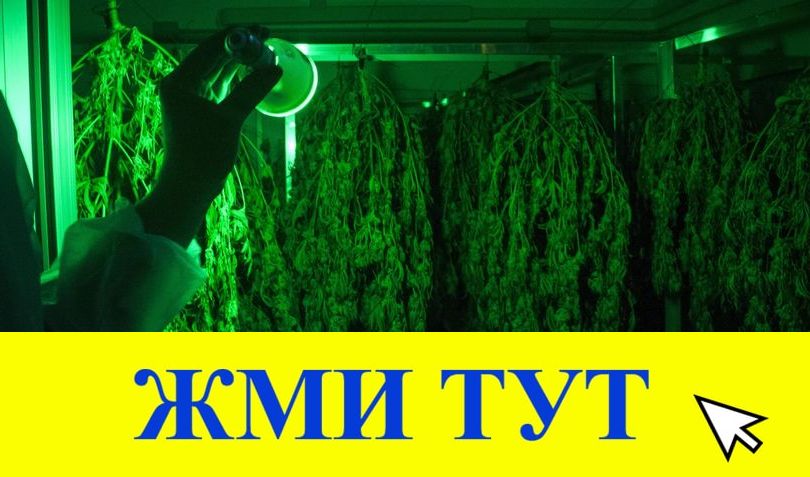 Купить наркотики в Инте